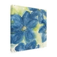 thumbnail image 2 of Chris Paschke 'Starlight Clematis II' Canvas Art, 2 of 3
