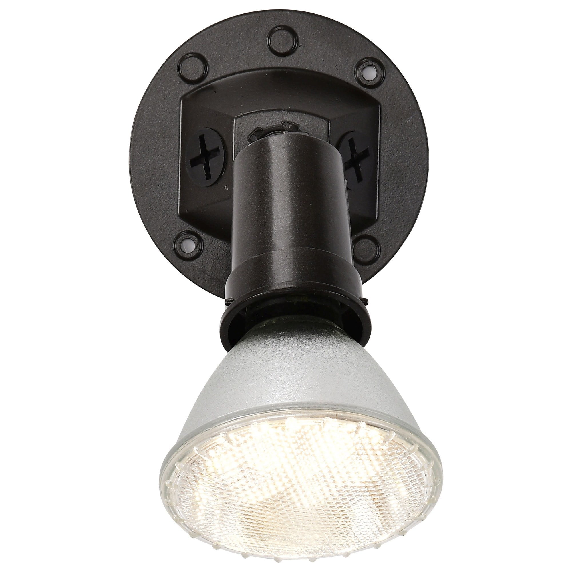 1 Light - 5" - Flood Light, Exterior - PAR38 w/Adjustable Swivel