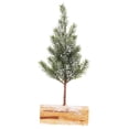 thumbnail image 4 of OUNONA 1Set Mini Artificial Snow Frost Trees 12x8x30cm White For Christmas 1Set, 4 of 8