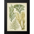 thumbnail image 2 of Vision Studio 11x14 Black Modern Framed Museum Art Print Titled - Seaweed Specimen in Green III, 2 of 5