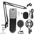 thumbnail image 1 of Kit de grabación de estudio de canto Teléfono PC KTV Micrófono de red Soporte de brazo plegable, Negro Plata seitruly EL001055-04, 1 of 2
