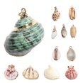 thumbnail image 1 of FELTECHELECTR 12 piezas de dijes de conchas para joyería: componentes de conchas para manualidades - Hermosas piezas de concha para hacer collares, aretes y colgantes (estilo mixto), 1 of 5