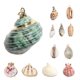 thumbnail image 1 of FELTECHELECTR 12 piezas de dijes de conchas para joyería: componentes de conchas para manualidades - Hermosas piezas de concha para hacer collares, aretes y colgantes (estilo mixto), 1 of 5
