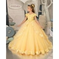 thumbnail image 3 of Drtj Kids Teens Flower Girl Dress Appliques - Tulle Princess Pageant Long Ball Gown Dresses, 3 of 7