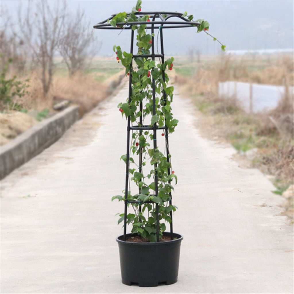 Garden Trellises for Climbing Plant Outdoor Mushroom Top Trellises for Climbing Plant Plant Trellises for Potted