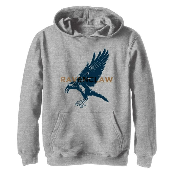 Boy's Harry Potter Ravenclaw Bird Pull Over Hoodie