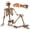 5.4ft Vintage style, variant on Ayieyill 5.4ft Halloween Skeleton Decorations, Weathered Posable Skeleton Decor for Halloween Decorations Outdoor Indoor