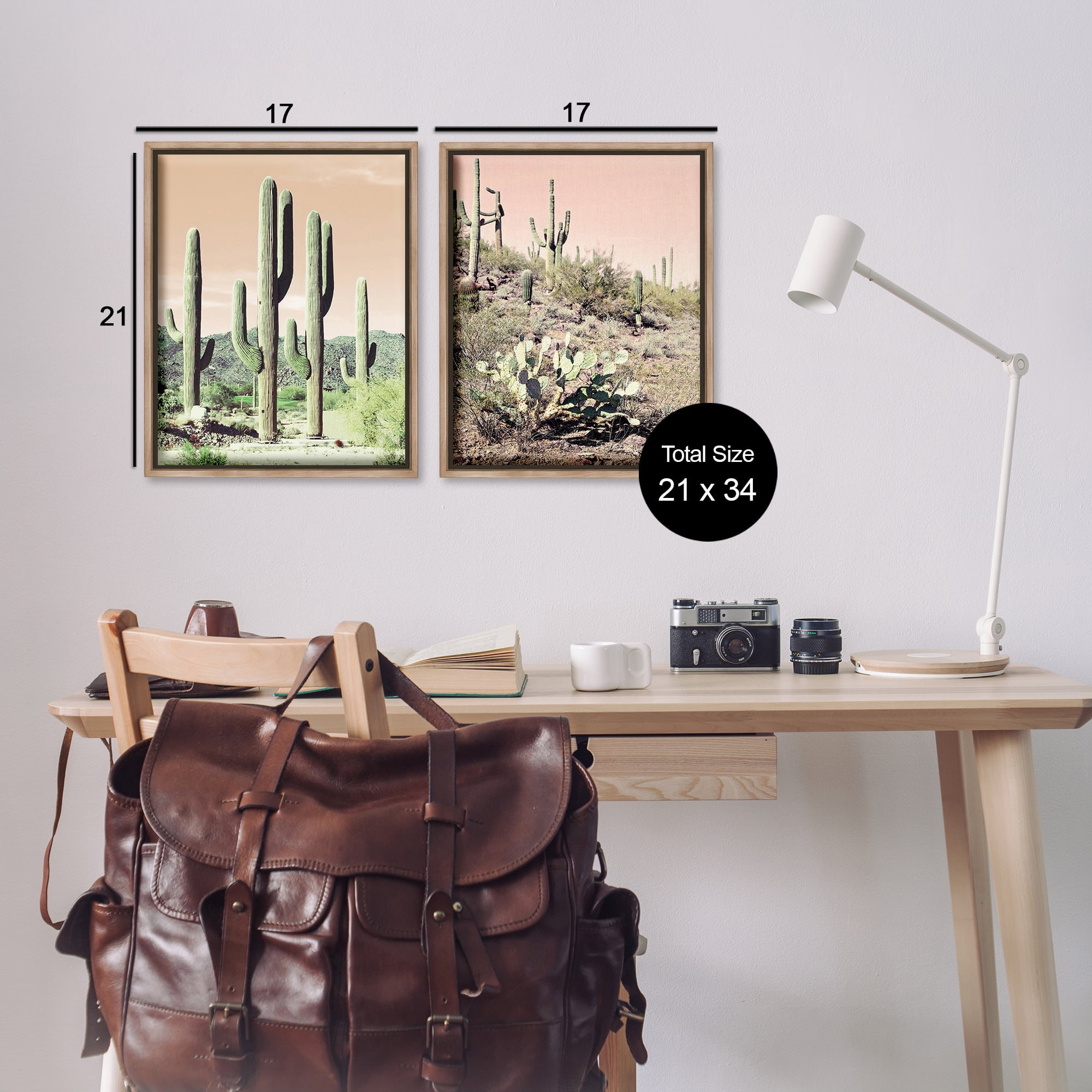 Stupell Industries Saguaro Cactus Desertscape Landscape & Nature Photography Brown Floater Framed Canvas Art Print Wall Art, 17 x 21, Set of 2
