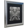 thumbnail image 2 of Trademark Fine Art "Lyon I" Canvas Art by Alan Blaustein, Black Matte, Silver Frame, 2 of 4