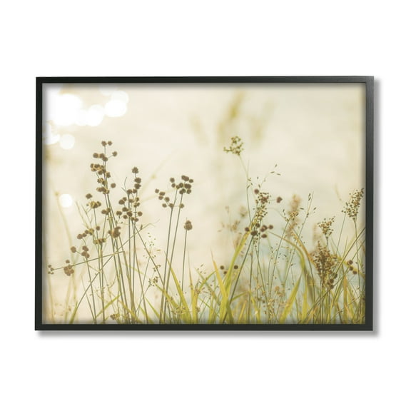 Stupell Industries Rural Country Grasses Botanical & Floral Photography Black Framed Art Print Wall Art, 14 x 11
