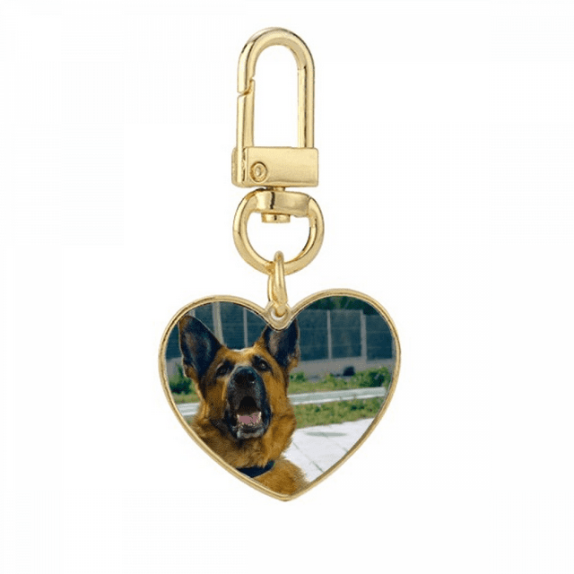 Beau Chien Animal Photo Photo Or Coeur Porte-Clés Porte-Clés en Métal