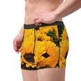 thumbnail image 4 of Kll Flower Bush Sunflower Men'S Cotton Boxer Briefs Underwear-Medium, 4 of 9