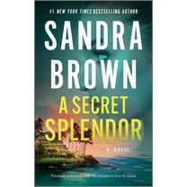 A Secret Splendor: A Novel (Paperback)