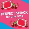 thumbnail image 5 of Snack Pack Zero Sugar Cherry Flavored Juicy Gels, 3.25 oz Snack Cups, 4 Count, 5 of 9