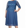 Alex Evenings Women's Dress Plus Overlay Floral Lace Sheath Blue 24W