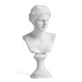thumbnail image 2 of Miniature Desktop Ornament Drawing Practice Home Decor Greek Mythology Figurine Famous Sculpture Gypsum Portraits Plaster Bust Statue AGRIPPA, 2 of 8