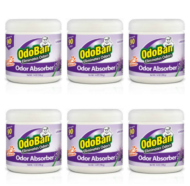 OdoBan Solid Odor Absorber for Home and Small Spaces, Lavender Scent