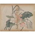 thumbnail image 2 of Anonymous 24x20 Gold Ornate Framed and Double Matted Museum Art Print Titled - Flowering Lotus and Bud (18th Century), 2 of 4