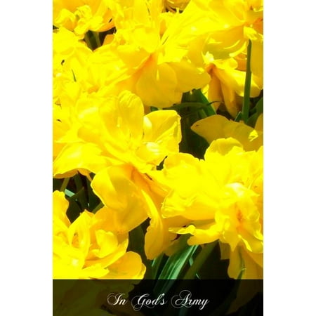 In God s Army: Commanders In Chief St. Ignatius Loyola & St. Francis Xavier (Paperback)