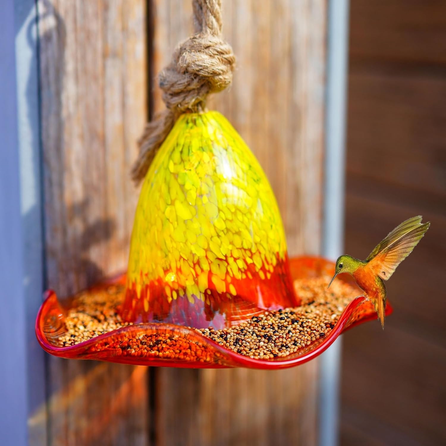 Patio & Garden,Outdoor Hanging Bird Feeder Window Bird Feeders for Viewing,Weatherproof and Durable,Gifts for Bird Lovers,Gardening Yard Pathway Decoration