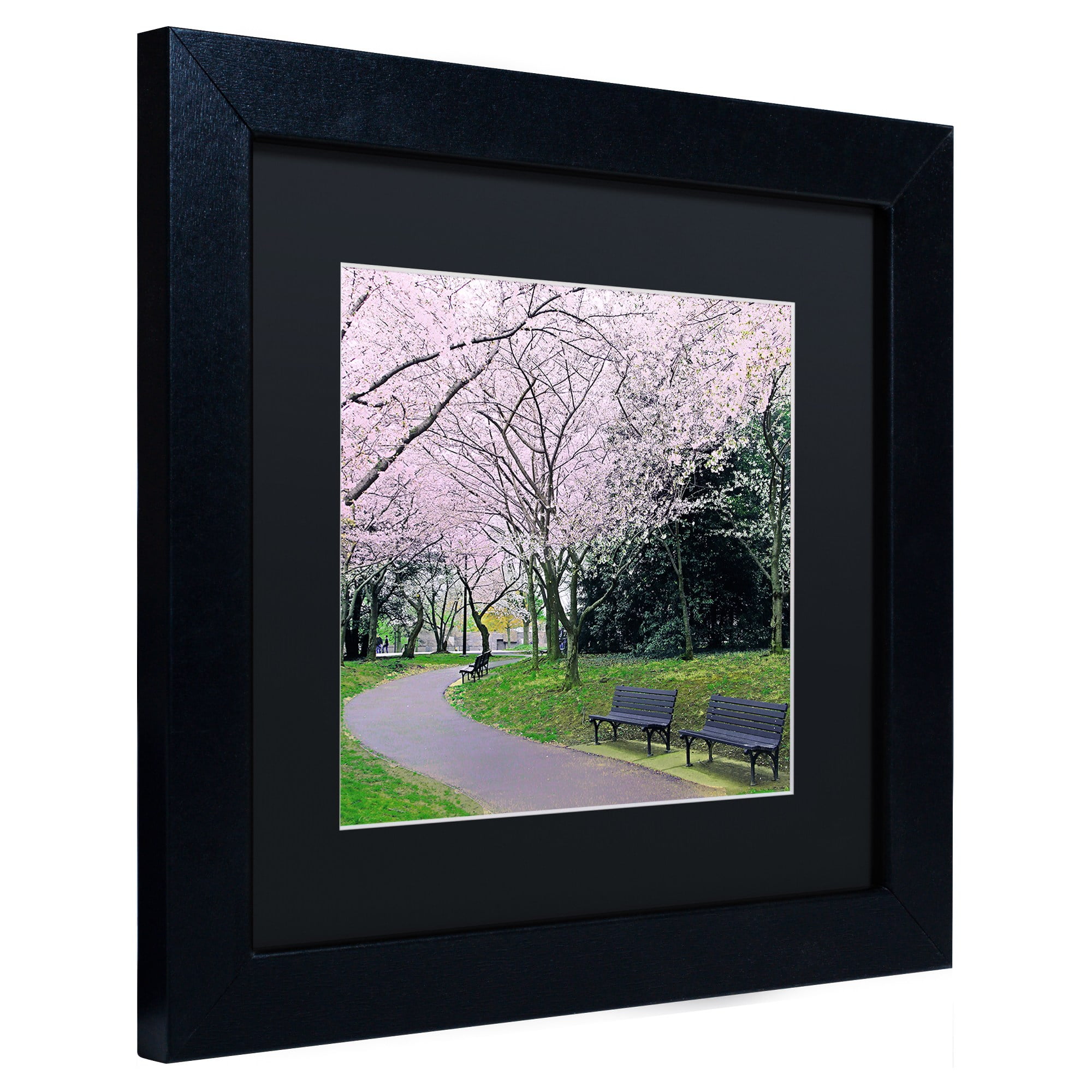 Trademark Fine Art "Spring Path" Canvas Art by CATeyes, Black Matte, Black Frame