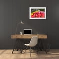 thumbnail image 4 of Dana Styber 4x24 White Modern Wood Framed Wall Art Titled - Tulip Bed II, 4 of 5