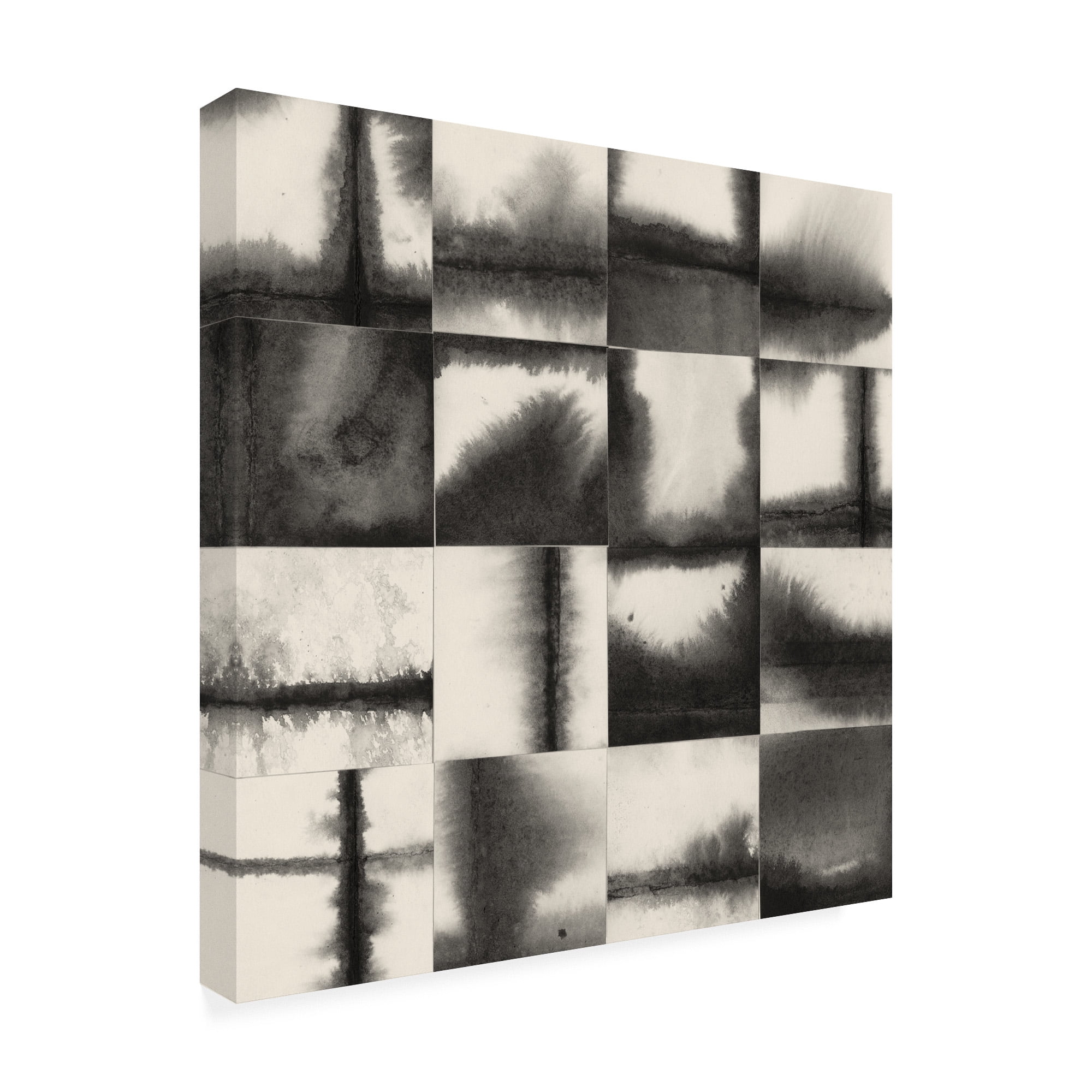 Trademark Fine Art 'Evanesce III' Canvas Art by Vanna Lam