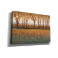 thumbnail image 2 of Epic Graffiti 'Glow in the Afternoon I' by Tim O'Toole, Canvas Wall Art, 26"x18", 2 of 2