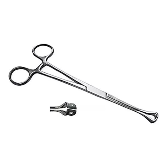 Pinza Babcock Acero Imoxidable 18 cm Hergom Silvery
