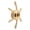 champagne gold, variant on GRIMPEX Six-Star Drag Brake Unloading Wrench 10*8cm Modified for Daiwa Star Drag Baitcasting Fishing Reel Brake Unloading Wrench Champagne Gold