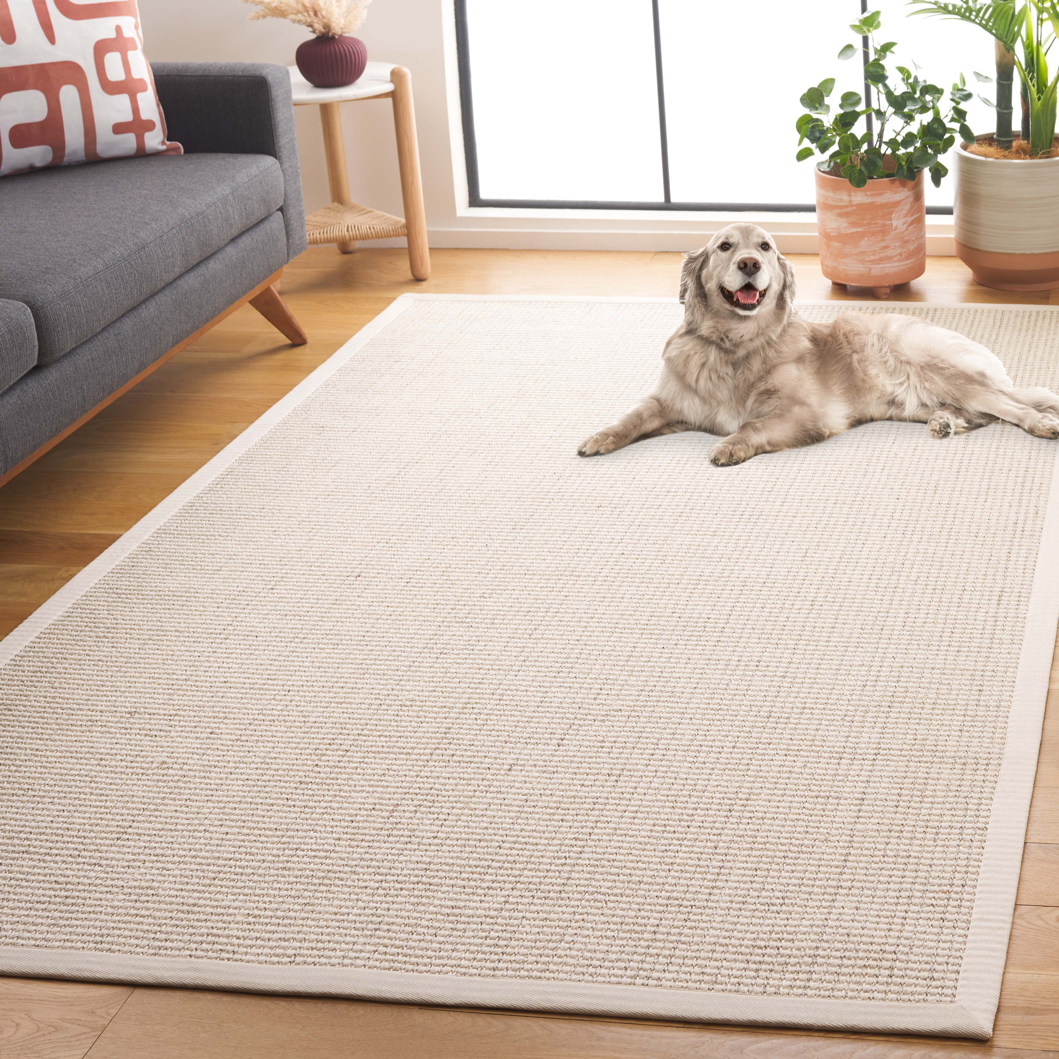 SAFAVIEH Palm Beach Sabrina Solid Area Rug, Ivory, 4' x 6'