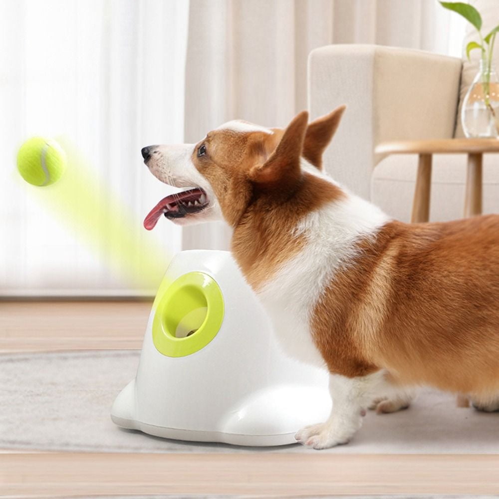 Automatic Mini Interactive With 3 Balls Transmitter Ball Throw Device Throwing Machine Tennis Launcher ball throwing machine Pet Dog Toys US PLUG