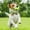 , I, variant on Usmixi Irish Festival Pet Decoration and Dog Party Decoration Bow Tie St. Patrick's