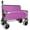 Purple, variant on TheEshow 500lbs Capacity Wagon with 3-in-1 Folding, Bench Seat, 9x4 Inch Beach Tires for Camping and Beach, Gray