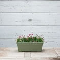 thumbnail image 3 of Root & Vessel Countryside Flower Box, Sage, 18", 3 of 5