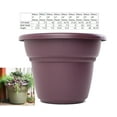 thumbnail image 1 of Bloem Milano Planter 5" Exotica, 1 of 2
