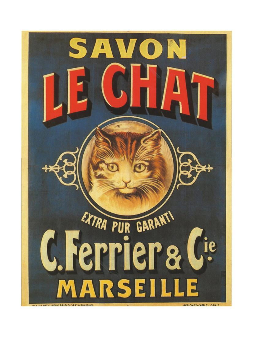 Conseils Véto Comment Calmer Un Chat énervé