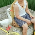 thumbnail image 6 of Lifelike White Goose Statue for Outdoor Garden Decor, Realistic Resin Animal Sculpture for Patio, Farmhouse Yard, and Pond landscaping, Durable Animal Ornament for Home and Garden, 6 of 9
