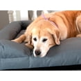thumbnail image 4 of Cama para Perro Extra Grande Resistente e Impermeable para Exterior Homero en Gris, 4 of 6