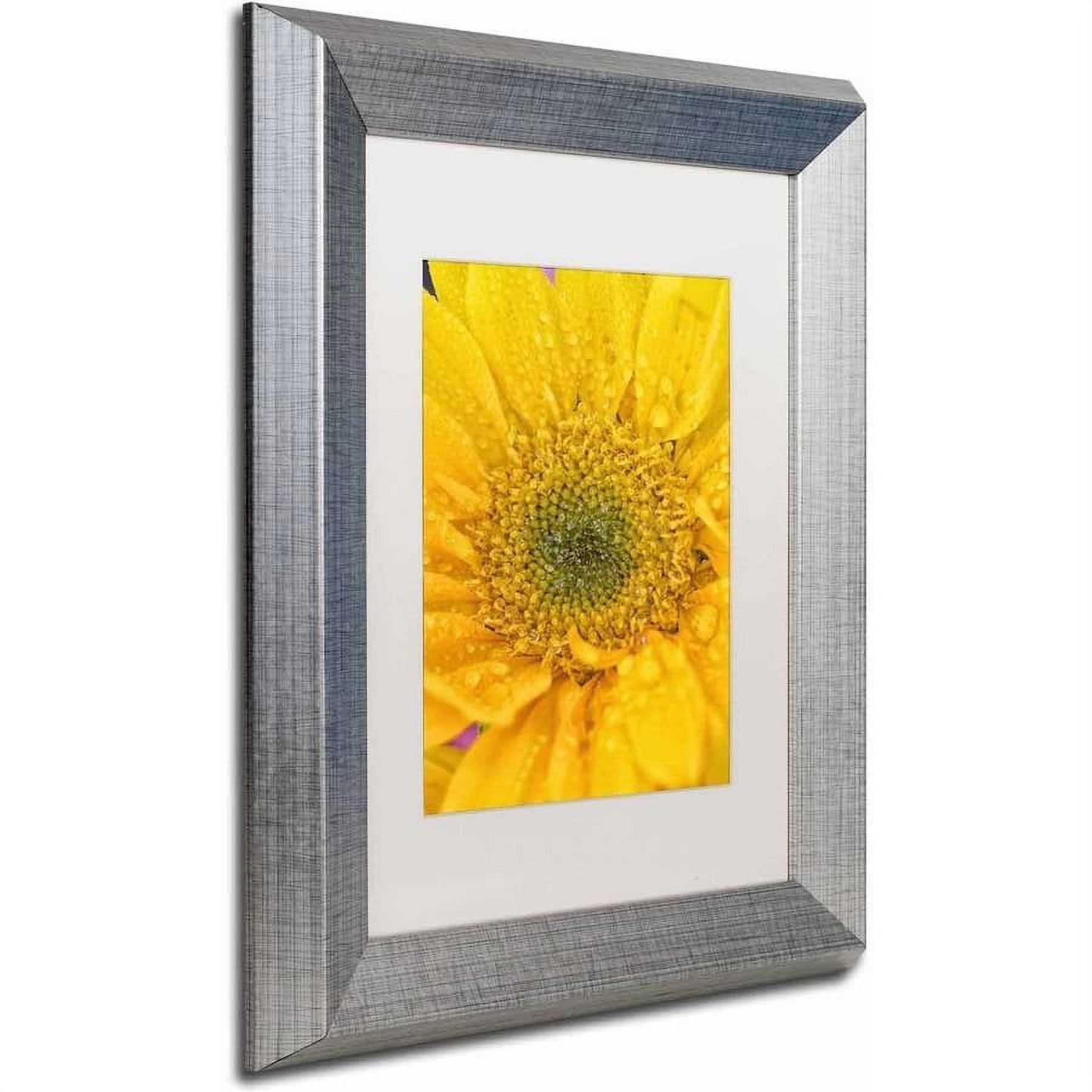 Trademark Fine Art 'Joyful Color' Canvas Art by PIPA Fine Art, White Matte, Silver Frame