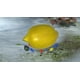 thumbnail image 3 of Pikmin 3: Edición de Lujo - Nintendo Switch, 3 of 6