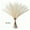 Beige, variant on 10PCS Artificial Pampas Grass Decor – 21.65" Fluffy Bohemian Reed Stems for Wedding, Home, Vase Arrangement (Hypoallergenic, No Shedding)