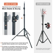 LINCO T-Shape Backdrop Stand with Black Screen 2 Softbox Studio Lighting Kit for Photo Video