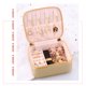 thumbnail image 3 of de cierre de cremallera, caja de joyería, mini organizador de Gcial Sunnimix organizador de joyería, 3 of 8