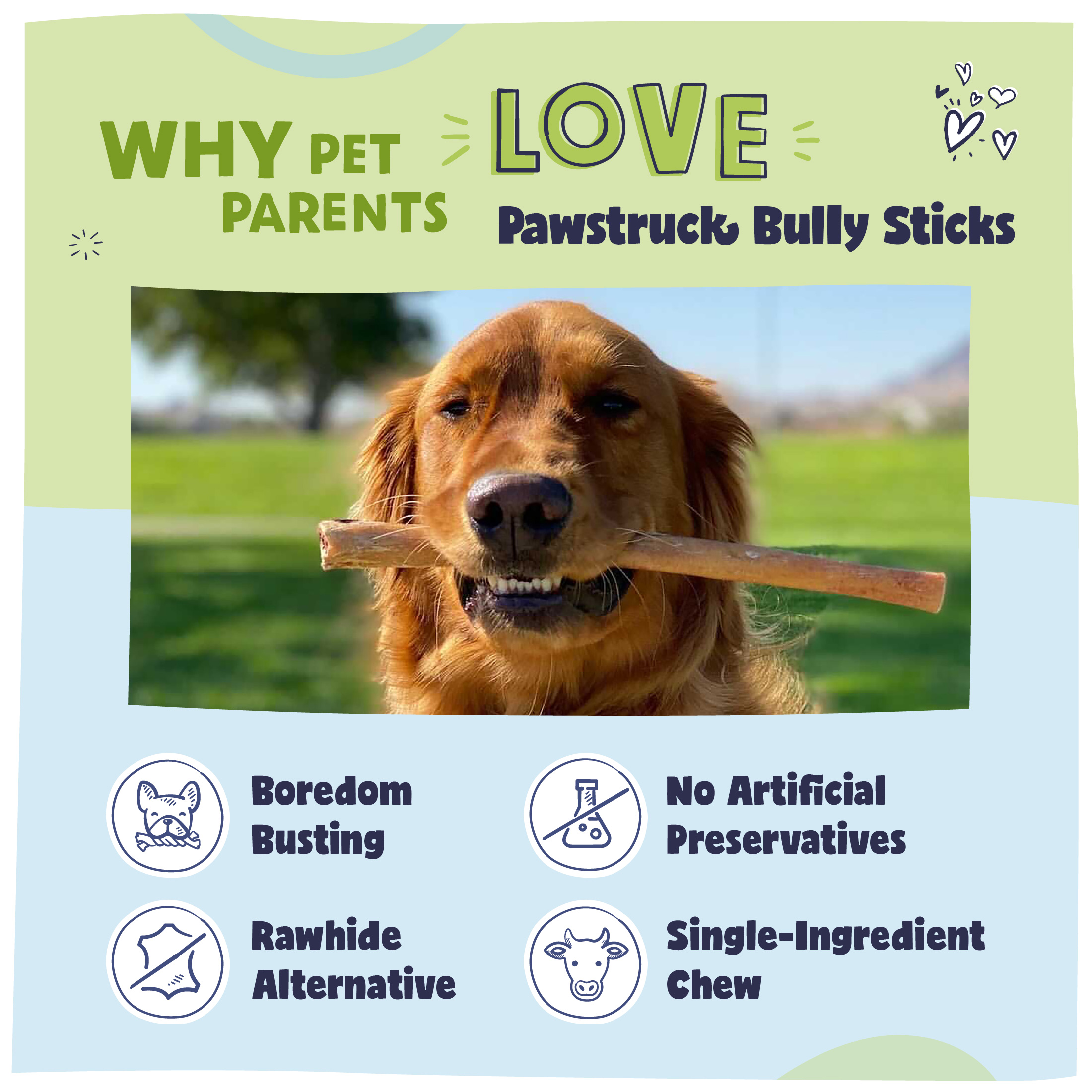 Pawstruck Natural Bully Sticks Dog Chew, 7 inch (3 Pack) photo 3