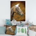 thumbnail image 3 of Designart 'Close Up Portrait Of Brown Horse With White Ears' Farmhouse Framed Art Print, 3 of 4