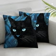 thumbnail image 2 of COMIO  Decorative Cat Pillow Covers Art Throw Cushion Case for Sofa Bed Home Decor Set of 2 Square Pillow Case Two Side Printed, 2 of 6
