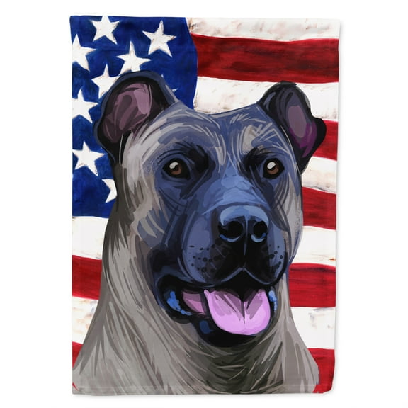 Carolines Treasures CK6491CHF Chow Dog American Canvas House Size outdoor-flags, Multicolor