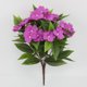 thumbnail image 1 of Simulation Of Impatiens Azalea Home Outdoor Garden Decoration Flower Arrangement Ornaments Artificial Flowers, 1 of 3