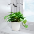 thumbnail image 4 of Plant Support Stakes, 2026 New Indoor Plant Trellis for Potted Plants, Garden Metal Trellis for Climbing Plants Indoor Outdoor Pothos Hoya Houseplants Flower Plant Support Structures, 4 of 9